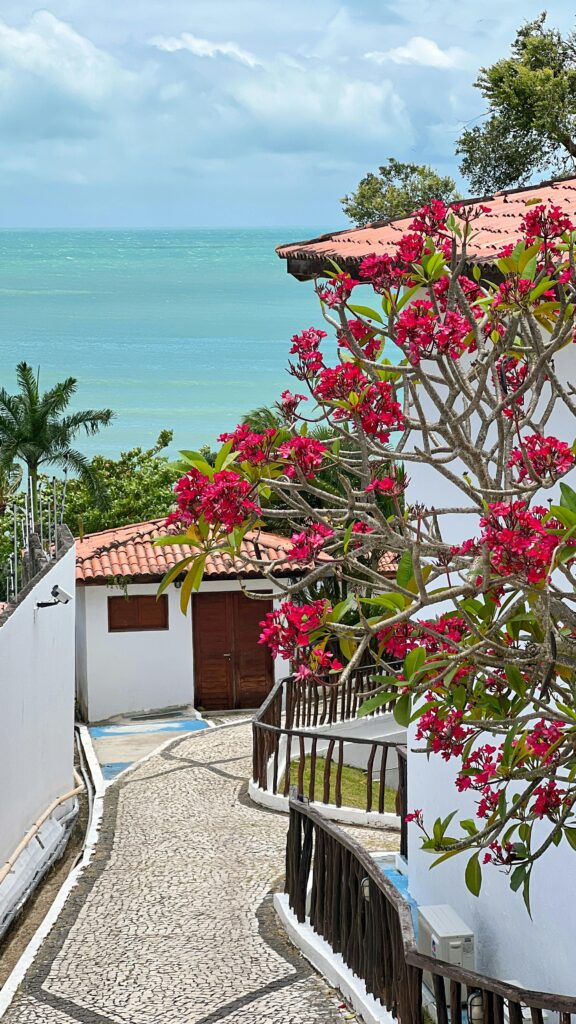 Beautiful Brazilian street by the coast with vibrant flowers and ocean view.
